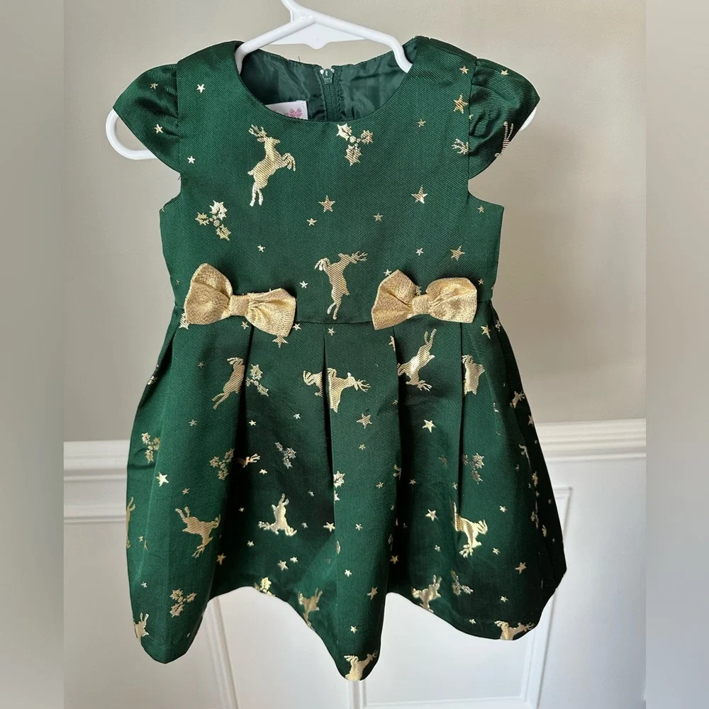 Bonnie Jean Reindeer Jacquard Holiday Dress size 2T - Picture 8 of 10